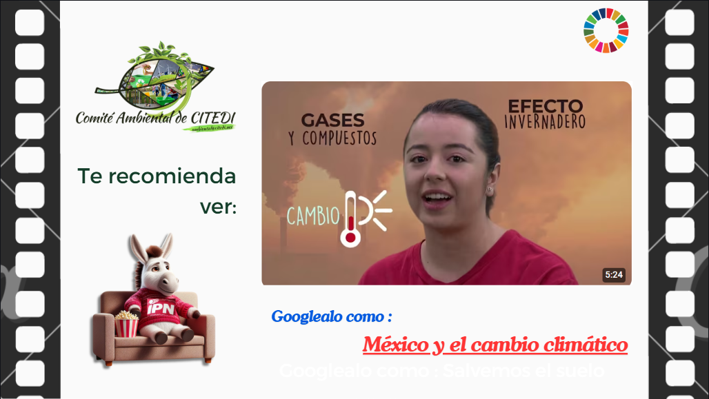 11_3.png