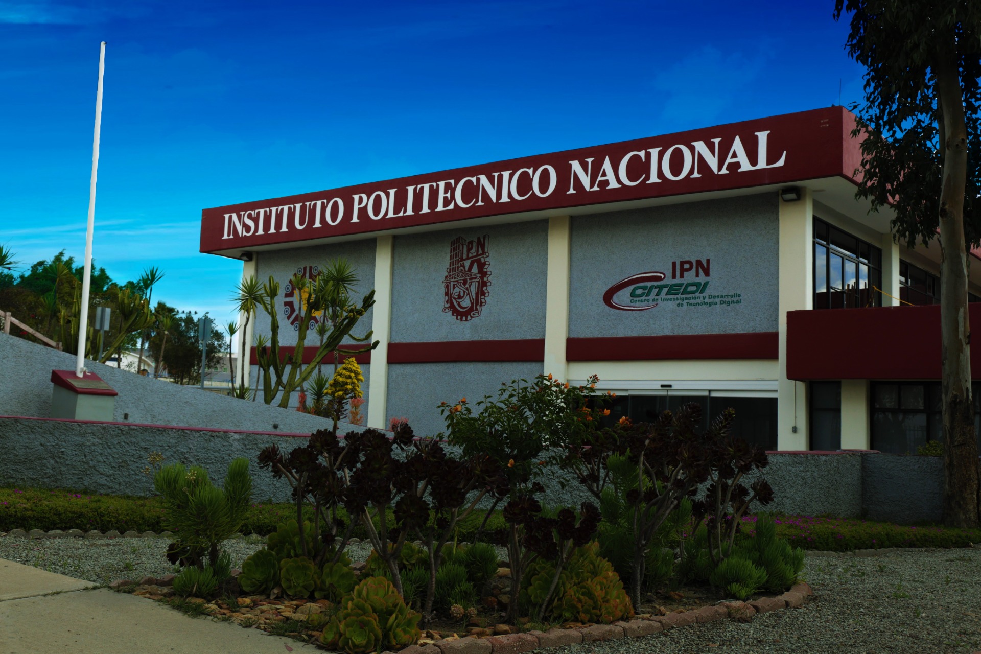 CitediIpn
