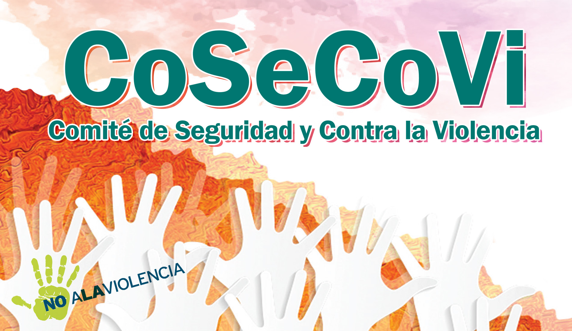 COSECOVI