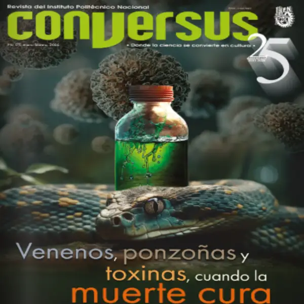 Conversus 175